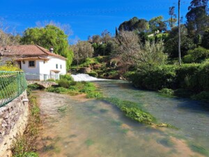 caminhada-redinha-caminhando