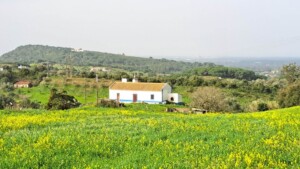 caminhada-santiago-cacem-caminhando