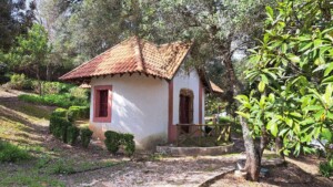 caminhada-santiago-cacem-caminhando