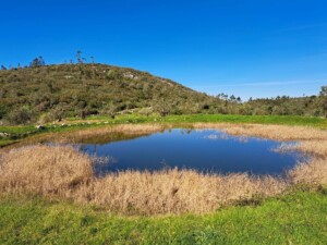 caminhada-vale-poios-caminhando