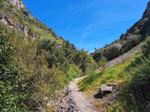 caminhada-vale-poios-caminhando