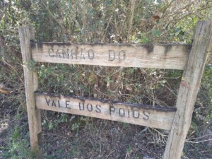 caminhada-vale-poios-caminhando