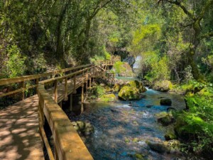 passadicos-pindelo-caminhando
