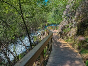 passadicos-pindelo-caminhando