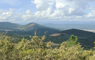 caminhada-castanheiros-fundao-caminhando