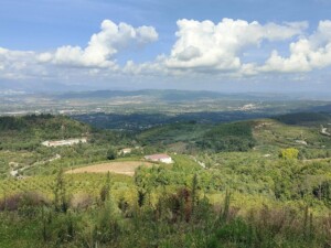 caminhada-castanheiros-fundao-caminhando