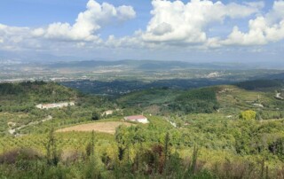 caminhada-castanheiros-fundao-caminhando