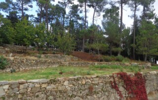 caminhada-castanheiros-fundao-caminhando
