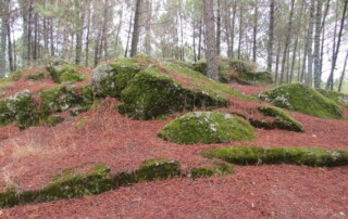 caminhada-castanheiros-fundao-caminhando