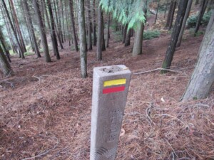 caminhada-castanheiros-fundao-caminhando