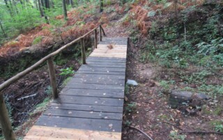 caminhada-castanheiros-fundao-caminhando