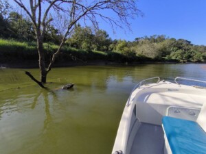 passeio-subida-rio-mira-vila-nova-milfontes-odemira