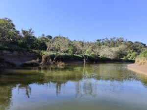 passeio-subida-rio-mira-vila-nova-milfontes-odemira